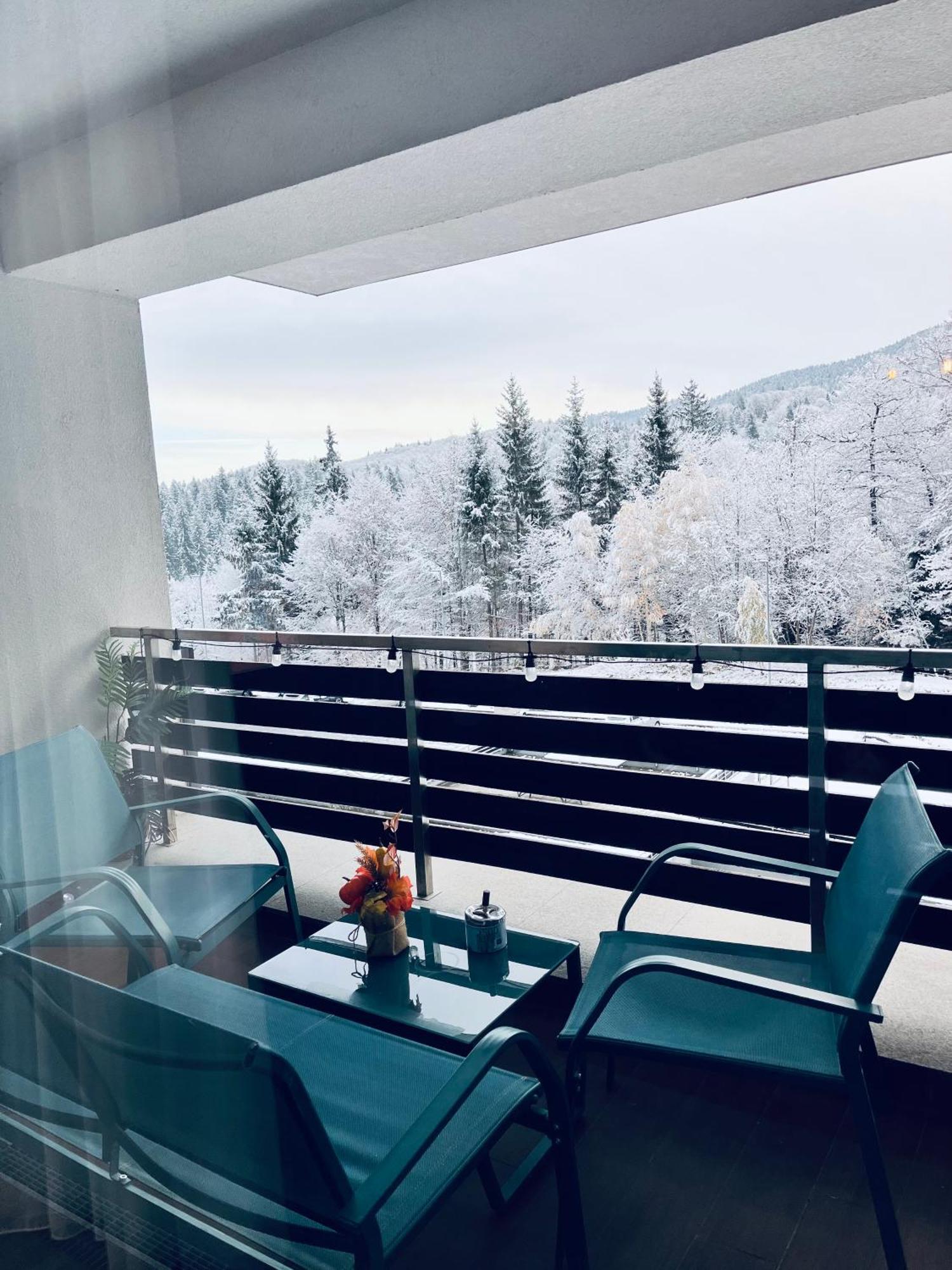 Mountain Nest In Silver Mountain 포이아나브라소프 외부 사진